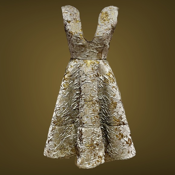 Issue New York Amazing Brocade Dress! Size XS – NWT - Picture 4 of 7